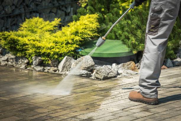 Animal Enclosure Cleaning in Arkwright, SC